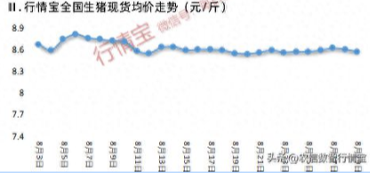 7月生猪产品数据公布！市场猪多了？饲料价格、需求双增长！