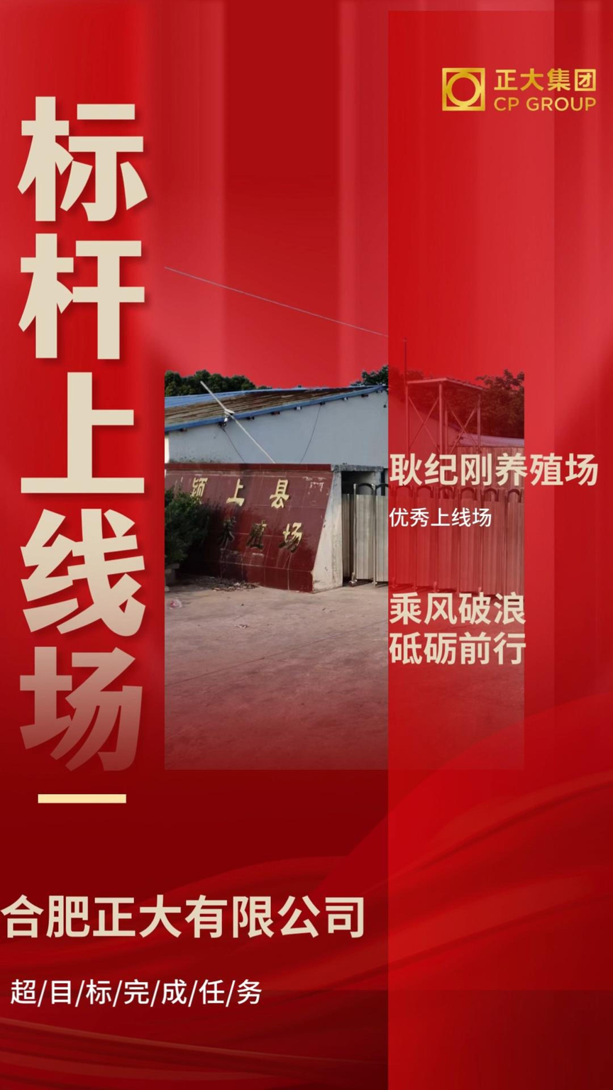 标杆上线场耿纪刚场