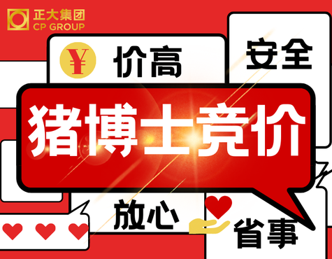 南昌正大肥猪销售流程