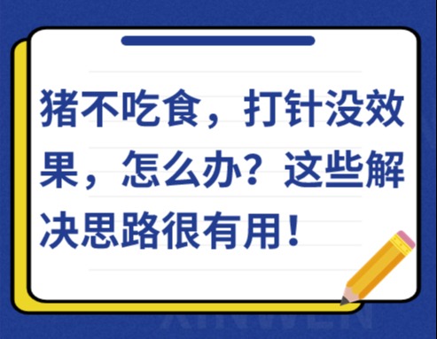 猪不吃食，打针没效果，怎么办？这些解决思路很有用！