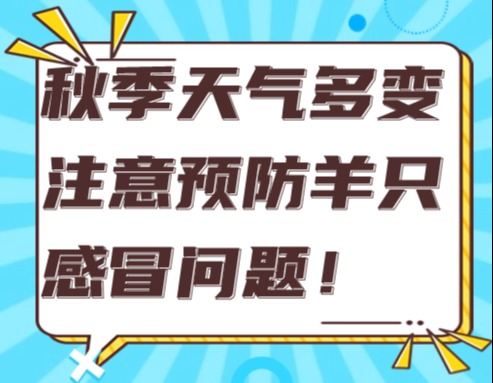 秋季天气多变注意预防羊只感冒问题！