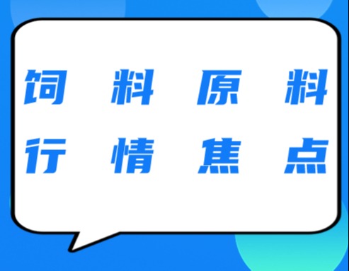 饲料原料行情焦点