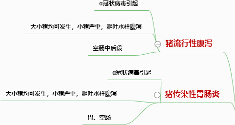 猪场腹泻类疾病怎么防控？PEDV防控新思路&案例分析