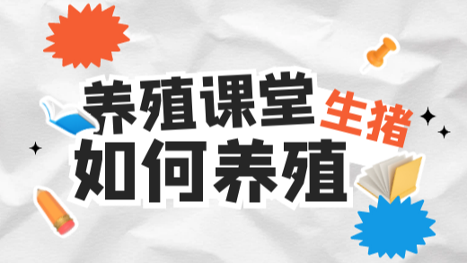 母猪断奶前该不该减料？答案你想不到