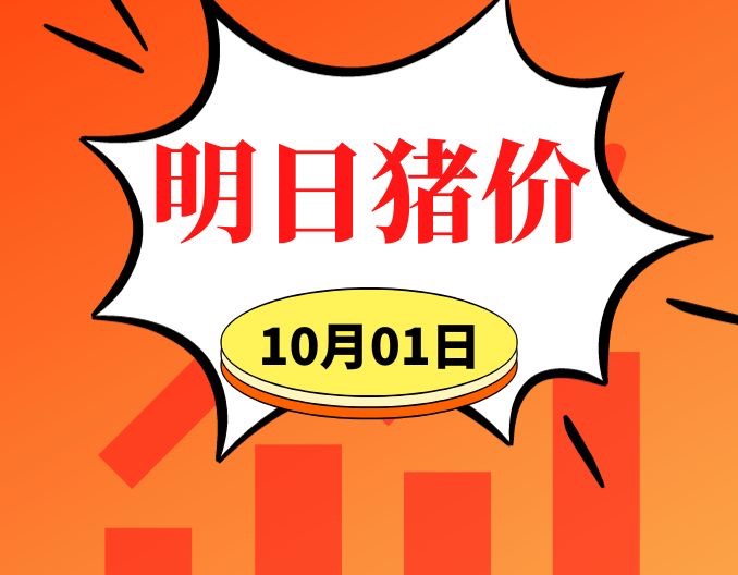 开门红！大面积上涨！10.1明日猪价早知道,全国最新猪价信息