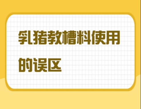 乳猪教槽料使用的误区