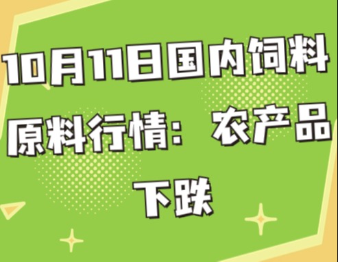 10月11日国内饲料原料行情：农产品下跌