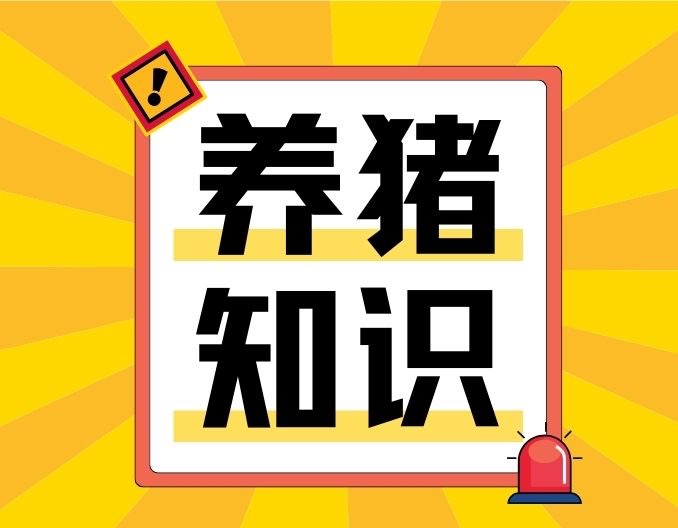 促进仔猪速生快长的16个技巧，降本增效不是梦！