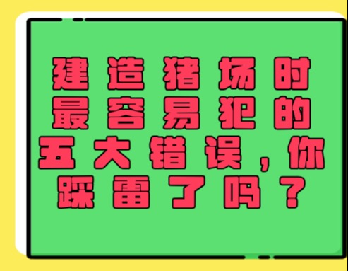 建造猪场时最容易犯的五大错误，你踩雷了吗？