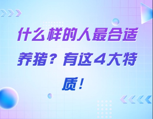 什么样的人最合适养猪？有这4大特质！