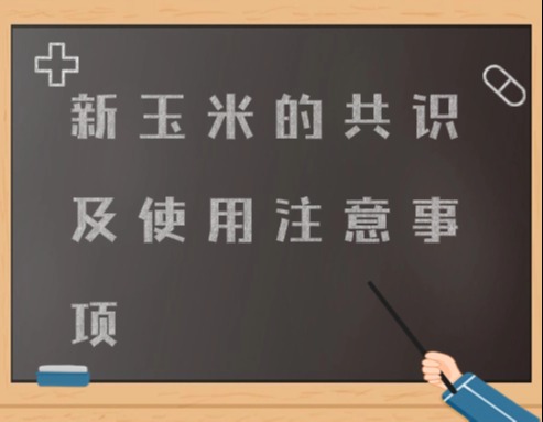 新玉米的共识及使用注意事项