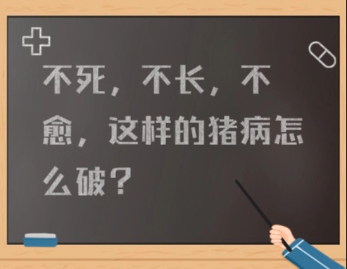 不死，不长，不愈，这样的猪病怎么破？