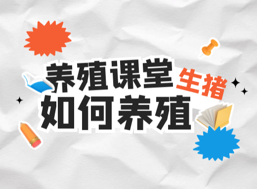 如何在母猪生产中正确使用缩宫素？3大误区要知道