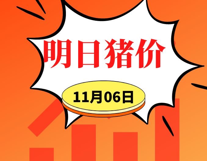 大面积飘红！11.6明日猪价早知道,全国最新猪价信息