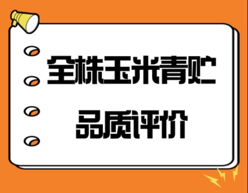 全株玉米青贮品质评价