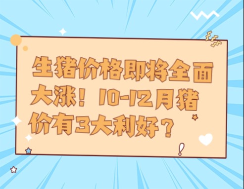 生猪价格即将全面大涨！10-12月猪价有3大利好？