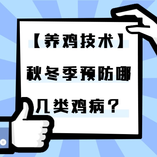 【养鸡技术】秋冬季预防哪几类鸡病？