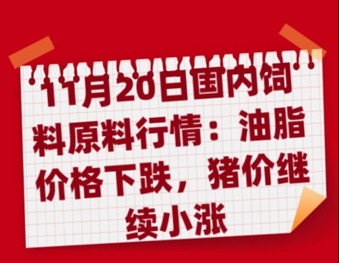 11月20日国内饲料原料行情：油脂价格下跌，猪价继续小涨