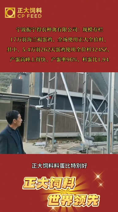 正大标杆户养殖佳绩——262天产蛋率96%，料蛋比1.94
