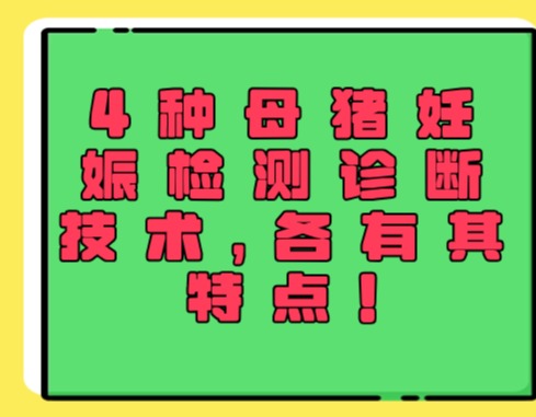 4种母猪妊娠检测诊断技术，各有其特点！