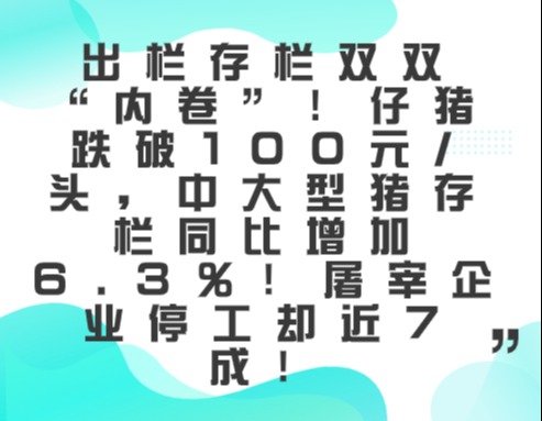 出栏存栏双双“内卷”！仔猪跌破100元/头，中大型猪存栏同比增加6.3%！屠宰企业停工却近7成！