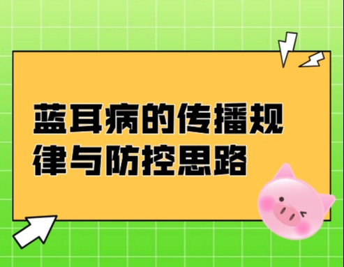 蓝耳病的传播规律与防控思路