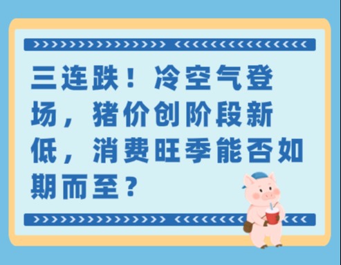 三连跌！冷空气登场，猪价创阶段新低，消费旺季能否如期而至？