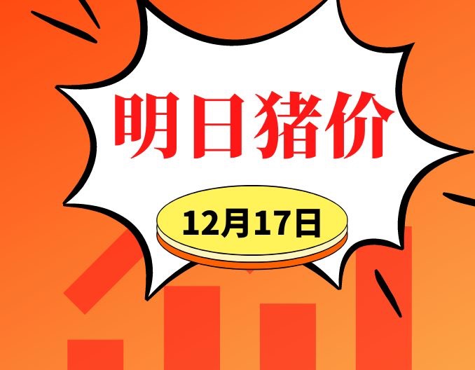 12.17明日猪价早知道,全国最新猪价信息