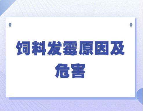 饲料发霉原因及危害