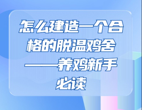 怎么建造一个合格的脱温鸡舍——养鸡新手必读