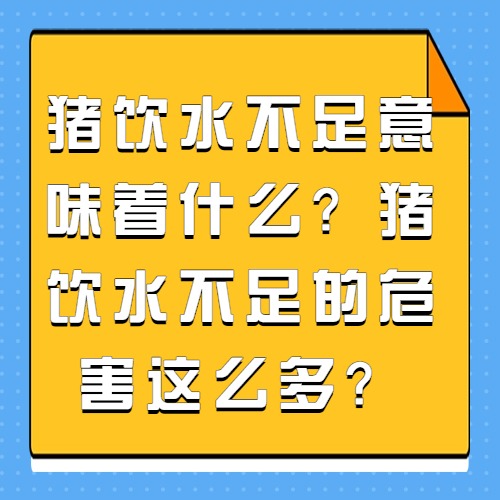 猪饮水不足意味着什么？猪饮水不足的危害这么多？