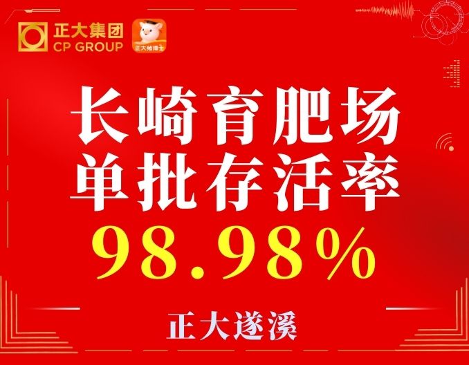 热烈祝贺长岐育肥场肥猪单批存活率98.98%，出栏料肉比节约0.092