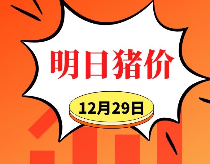 12.29明日猪价早知道,全国最新猪价信息