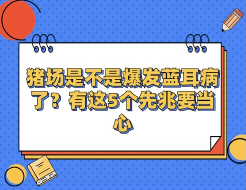 猪场是不是爆发蓝耳病了？有这5个先兆要当心