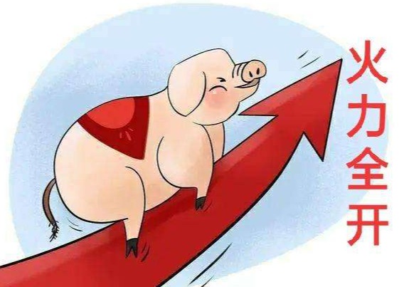猪价“起飞”，1月17日行情“4连涨”，咋回事？又缺猪了？
