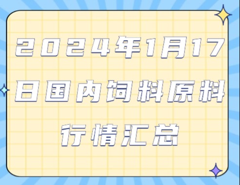 2024年1月17日国内饲料原料行情汇总