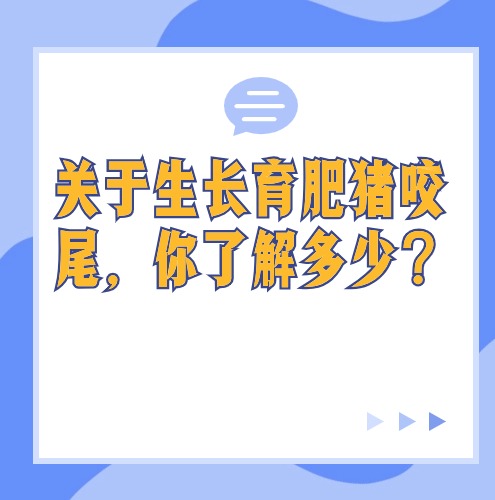 关于生长育肥猪咬尾，你了解多少？