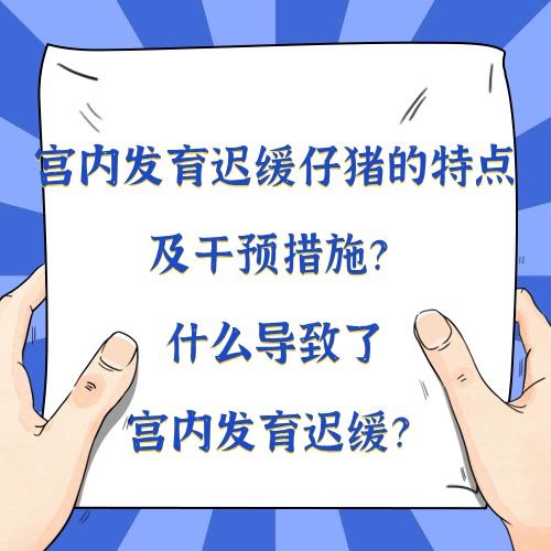 宫内发育迟缓仔猪的特点及干预措施？什么导致了宫内发育迟缓？