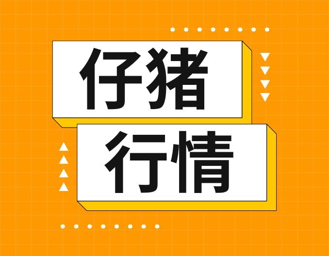 涨势明显！仔猪价格上涨是否预示着市场行情的好转？