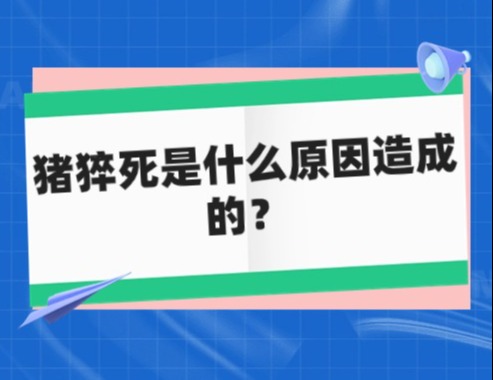 猪猝死是什么原因造成的？