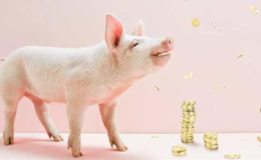 情绪有变! 还有下一波涨价吗! 附1月25日猪价