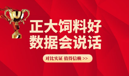 正大饲料好 数据会说话(76) — 使用正大蛋鸭料544比对比组每万羽阶段多盈利2500元