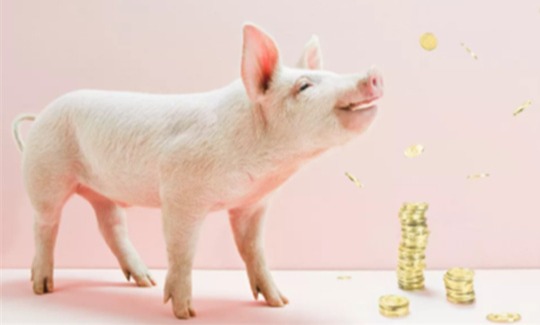 航天猪来袭，猪价大涨18.4%，上涨元凶找到！啥情况？1月31日猪价