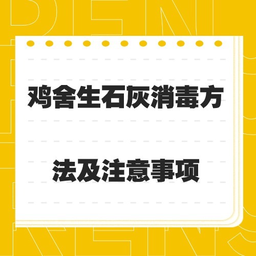 鸡舍生石灰消毒方法及注意事项