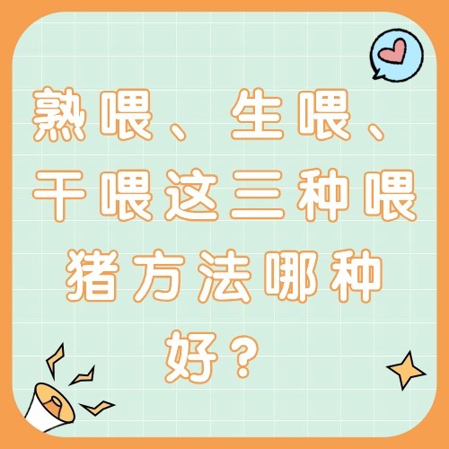 熟喂、生喂、干喂这三种喂猪方法哪种好？