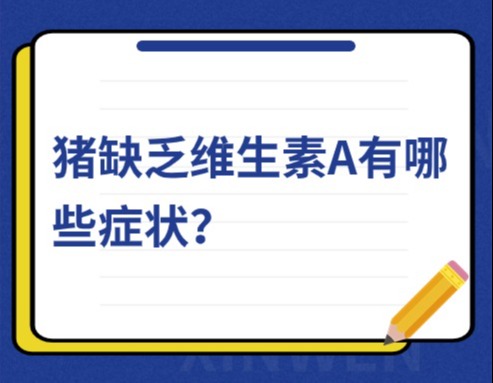 猪缺乏维生素A有哪些症状？