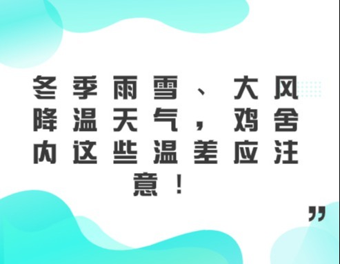 冬季雨雪、大风降温天气，鸡舍内这些温差应注意！