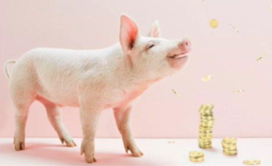 猪价“一蹶不振”，价格“倒塌式”下跌，2个好消息！2月20日猪价
