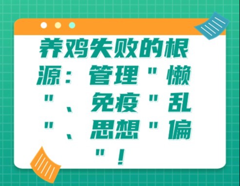 养鸡失败的根源：管理＂懒＂、免疫＂乱＂、思想＂偏＂！