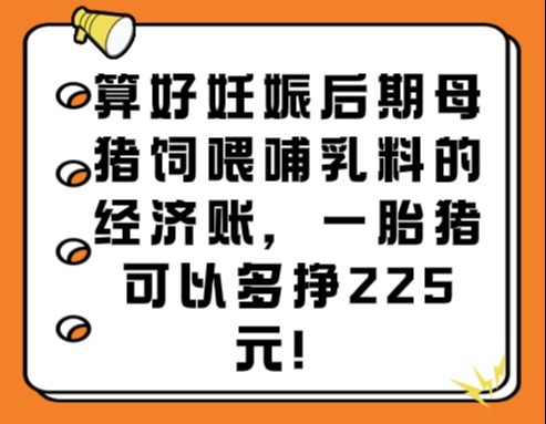 算好妊娠后期母猪饲喂哺乳料的经济账，一胎猪可以多挣225元！